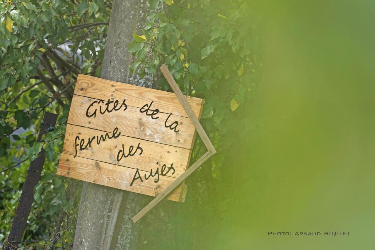 Gite Familial Ferme Des Aujes Falaen Onhaye ภายนอก รูปภาพ