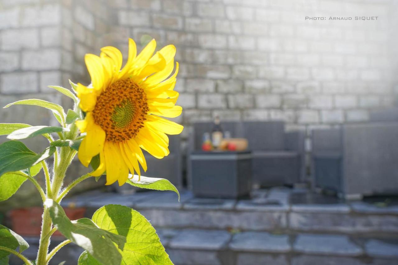 Gite Familial Ferme Des Aujes Falaen Onhaye ภายนอก รูปภาพ