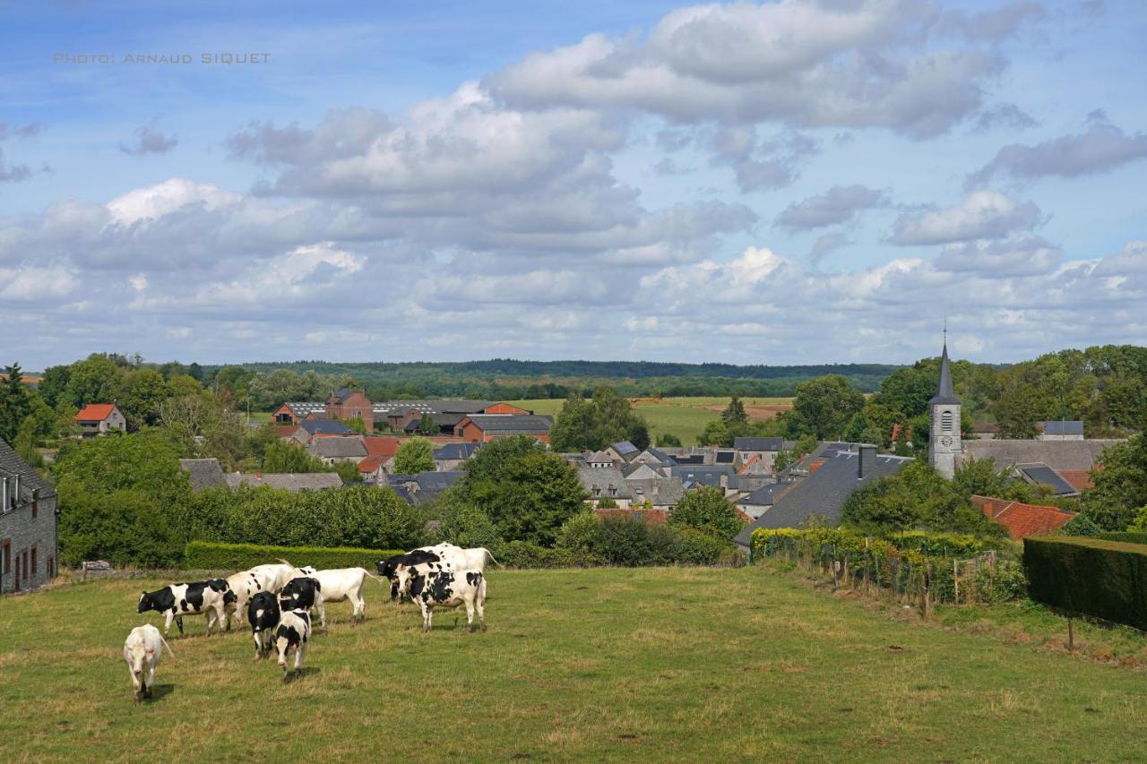 Gite Familial Ferme Des Aujes Falaen Onhaye ภายนอก รูปภาพ