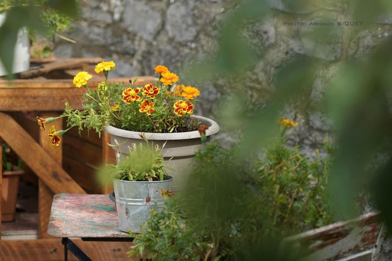 Gite Familial Ferme Des Aujes Falaen Onhaye ภายนอก รูปภาพ